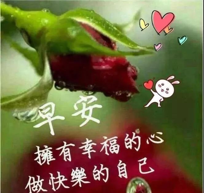 星期天最新漂亮早上好动态美图鲜花带字,早晨好幸福暖