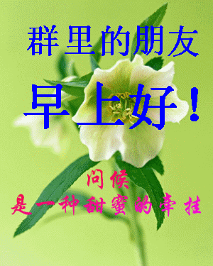 b027feb4343346199db5f3ba0fcda54e.gif