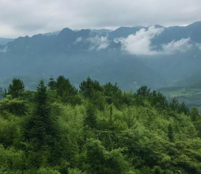 凉城的人口_上海凉城路车祸图片