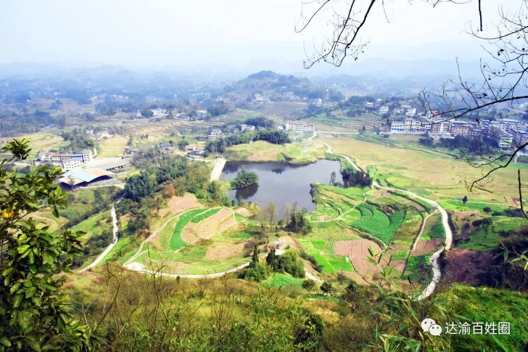 人口填两广_两广填川历史背景