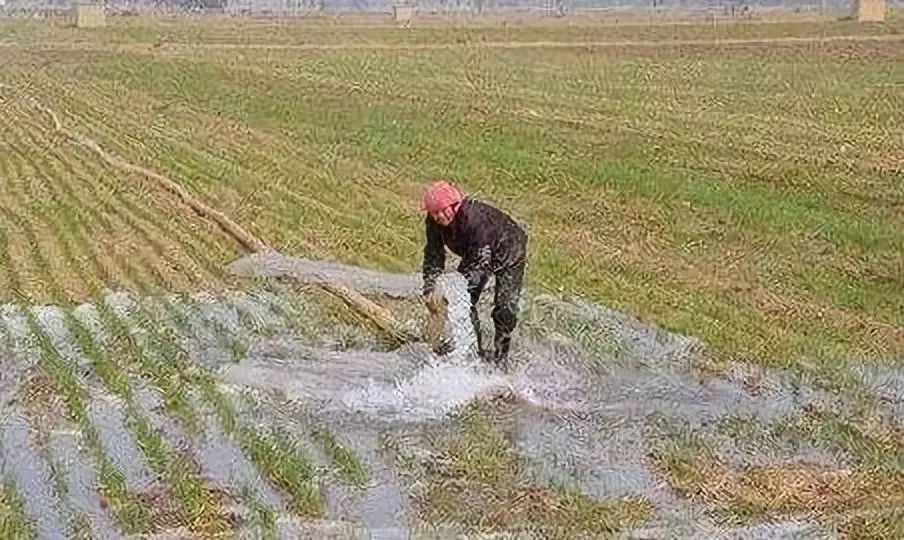 农村人口流失_大量农村人口流失,是利还是弊(3)