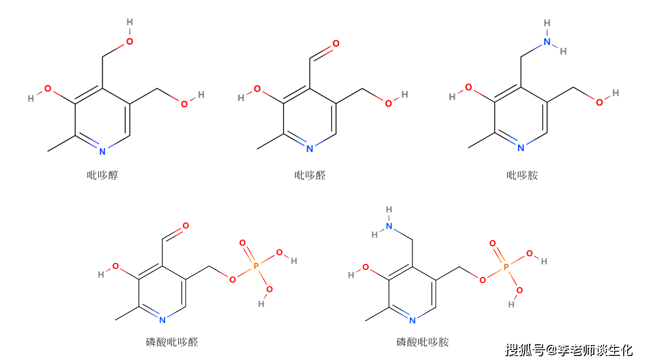 维生素b6吡哆素参与的生化过程