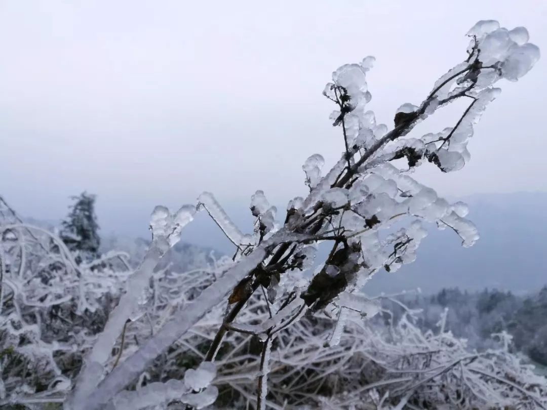 都匀下雪结冰了传遍朋友圈的图原来是