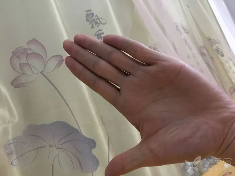 手是什么科 d2ce9a30c29944c0a4d17147751d3bb3.jpeg