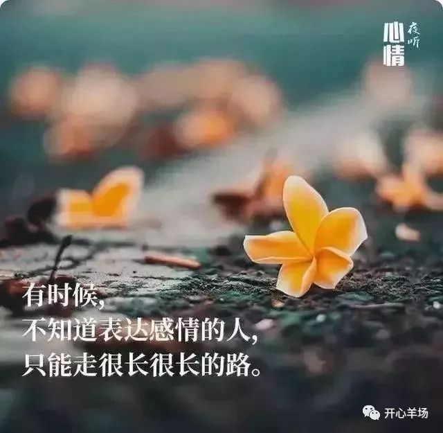 d431900d87d5495b884b63c2f34c5ad8.jpeg