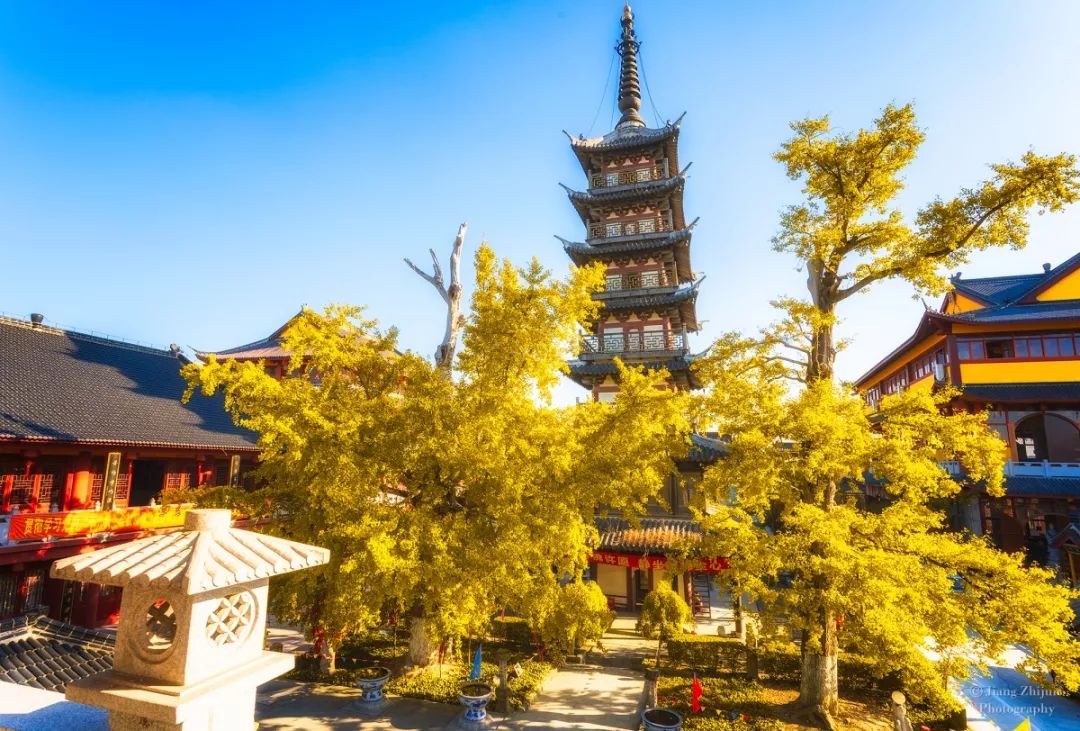 地址:金山区亭林镇松隐禅寺