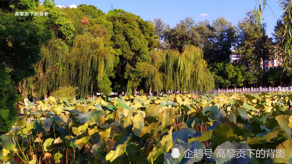 公园画简单又漂亮 dc937a959ee34de2bd9d4ead985c68a6.jpeg