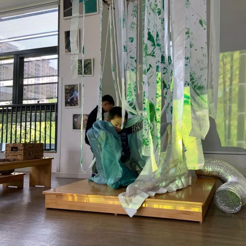 顶思专访材料环境和课程都不按套路出牌瑞吉欧的学前教育为何享誉全球