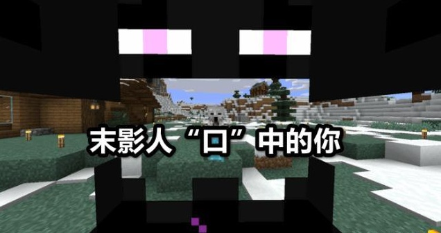 f851a15d46604d45869e287428593ddf.jpeg
