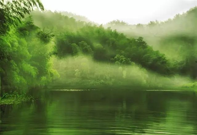 映山竹海简谱_翠山竹海