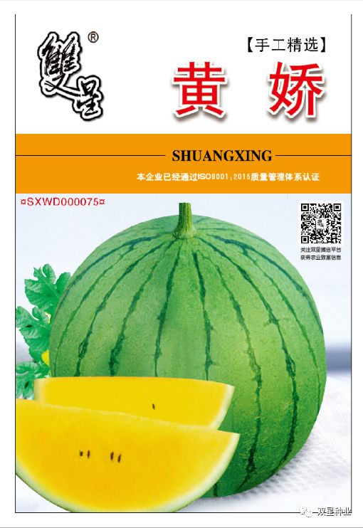 西瓜怎么育苗最好 095eb6383f38419ba046bf3bbb4906e2.jpeg