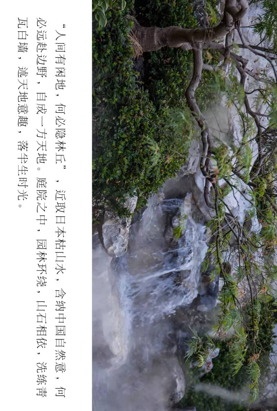 画开心中景,月下笼清幽——九龙仓·凤栖梧桐