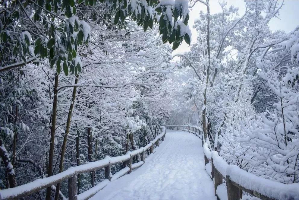 "安逸四川冬游天府"绵州文化旅游季 || 在绵阳的这些地方,慢慢听雪落