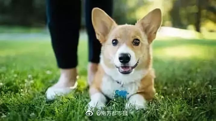 11f5c3ef0d724a74aeb44ca4455140b3.jpeg