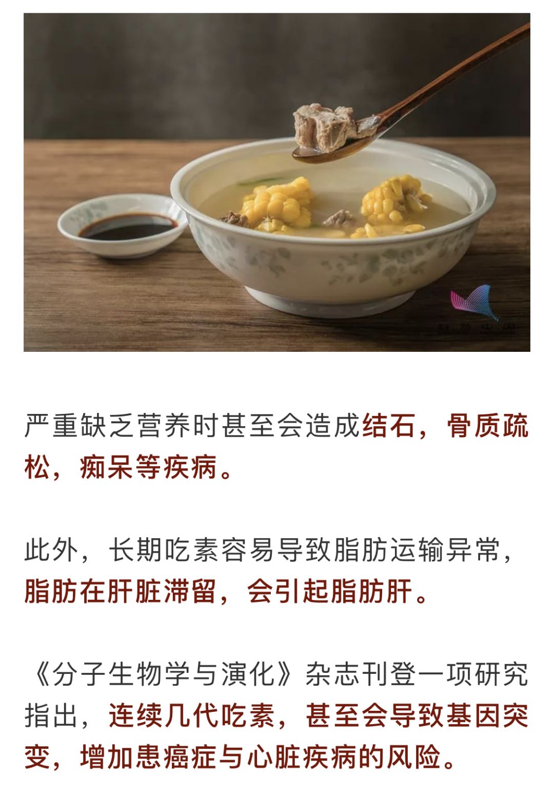 膳食是指什么 1dc478aee40249f59b2d2c6068a23b88.jpeg