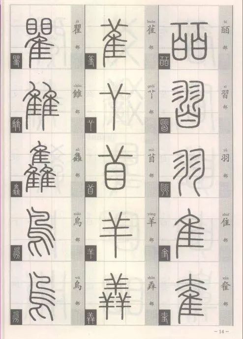 1e434a81e4024de29bf48d7329bf2311.jpeg