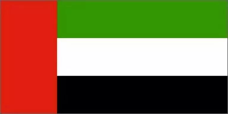 【视频】阿联酋国庆:你对阿联酋的国旗,国歌了解多少呢?
