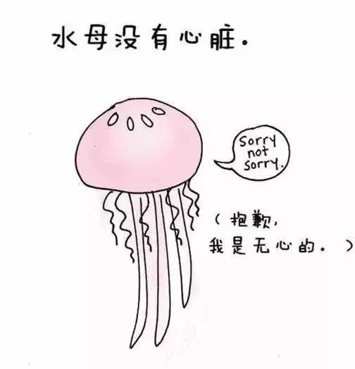 6165cee64ee54e609d3d085e60e6300b.jpeg