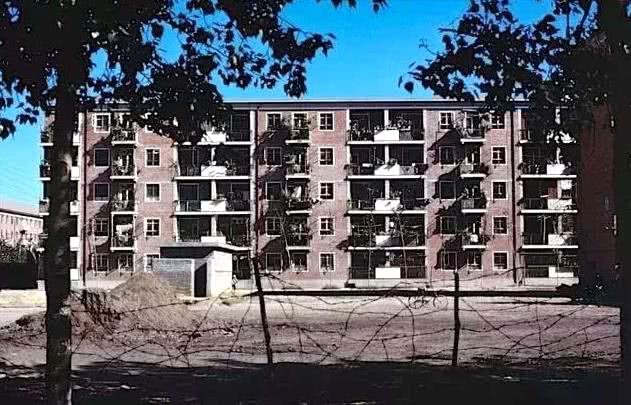 北京土著人口_北京土著图片