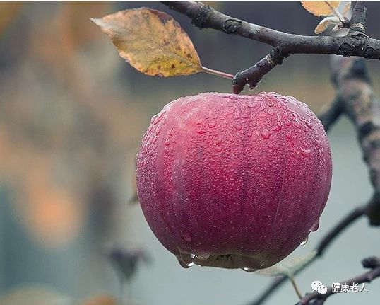 苹果加什么降血压 88a094230c1248b2be1ba6463e6e9723.jpeg