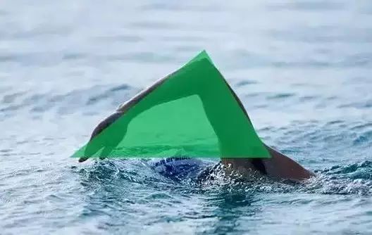 88f77618f049402da378aacc082630ec.jpeg