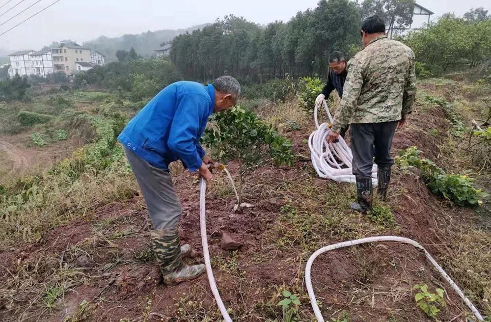 镇盛镇多少人口_北流隆盛镇有多少人口