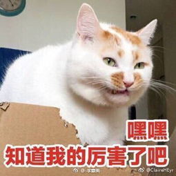 a4f1c2c4ce314d58936c7393c181420c.jpeg