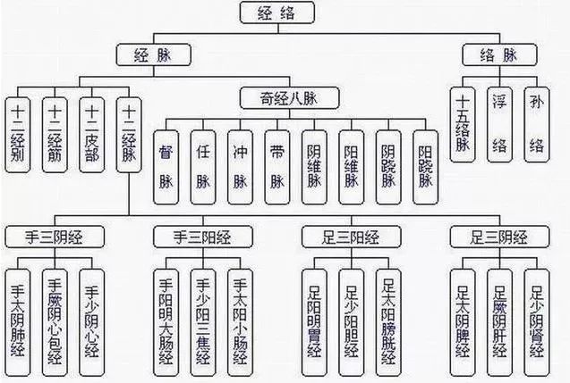 中医人体十二经络基础入门总结