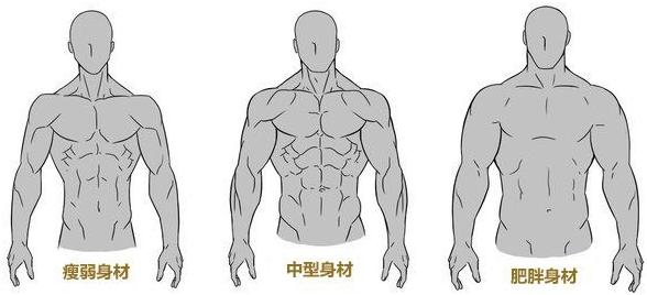 漫画男生肌肉怎么画?动漫男性肌肉怎么画?