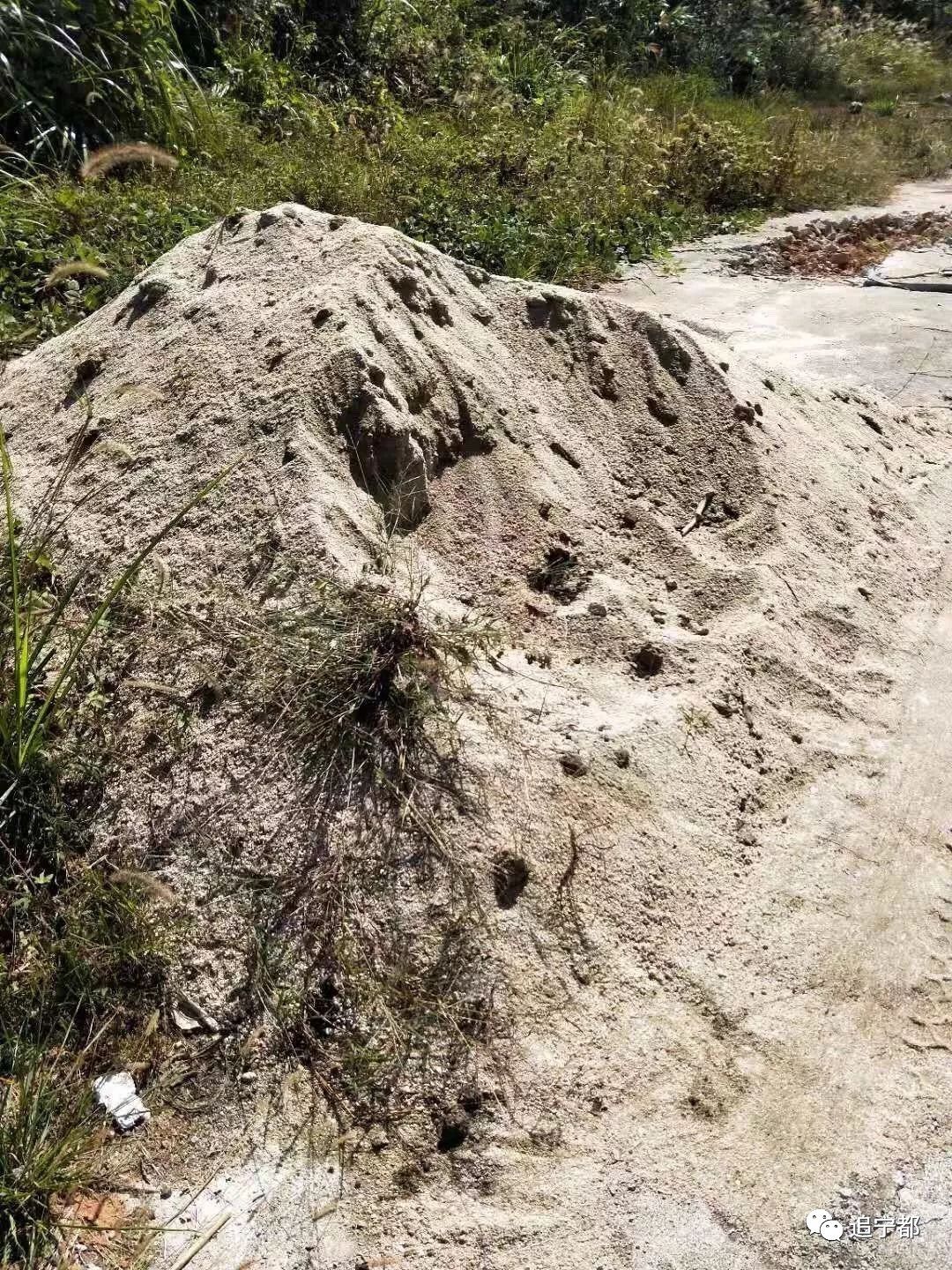 宁都县各乡镇人口_赣州首批非遗小镇名单出炉,宁都一地上榜(3)