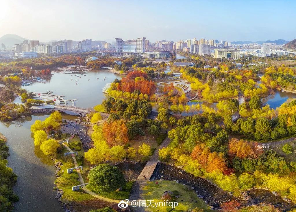 图@晴天ynifqp地址:台州市温岭市锦屏公园湖水波澜成画,树影斑驳成诗