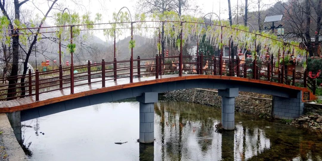 徽县有多少人口_徽县一中图片(2)
