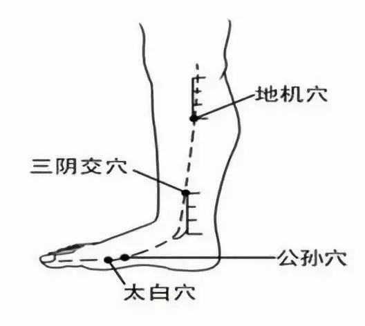 地机 三阴交 公孙 太白