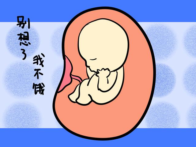 如何让自己不饿有饱腹感 ce53bc91778e4a70bc0a2e66fbd0f2f0.jpeg