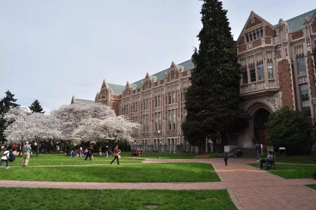 在美国的大学里,她们竟然是这样玩儿马术的