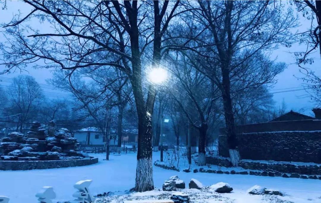 北国的雪 独爱 对着窗外皑皑的雪景喊"糖糖" 那便是我的第一次看雪