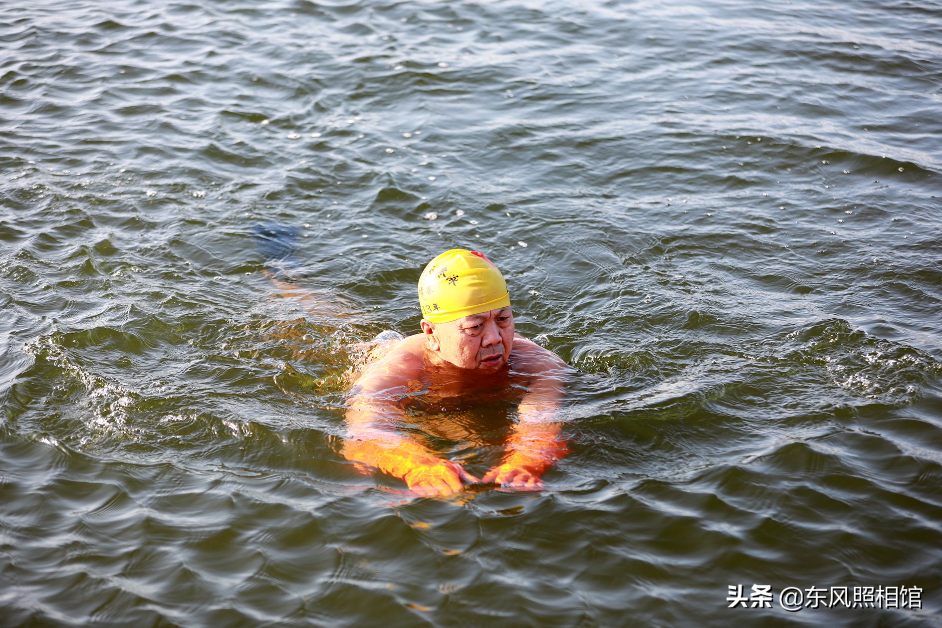 冰湖中,冬泳人遇水鸟,严寒中的暖流