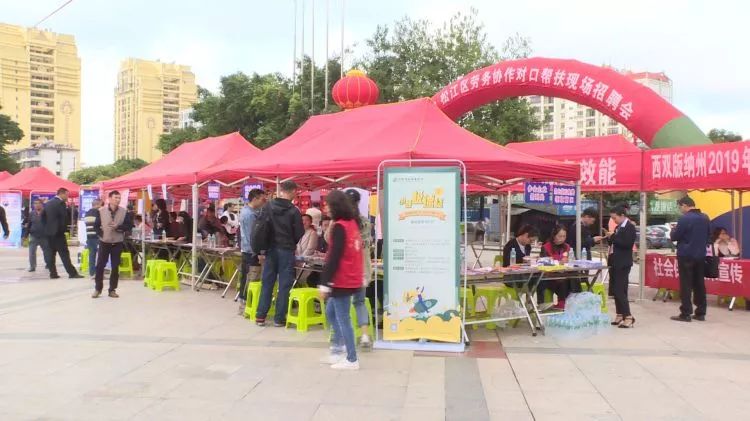 景洪招聘_西双版纳州景洪小学招聘教师16人 今日起报名(3)