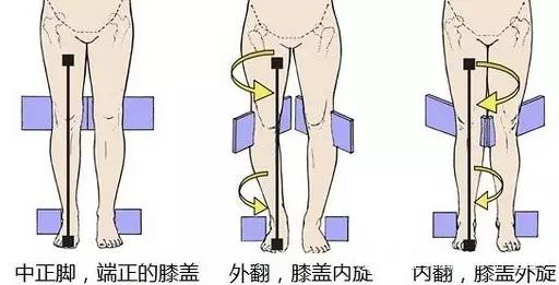 fe6b006b7bd04ea69d265b40edade9fe.jpeg
