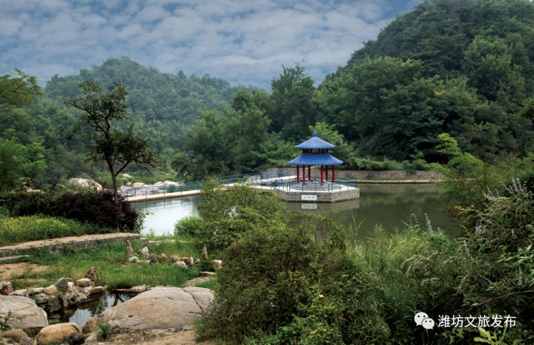 ▼临朐黑松林景区