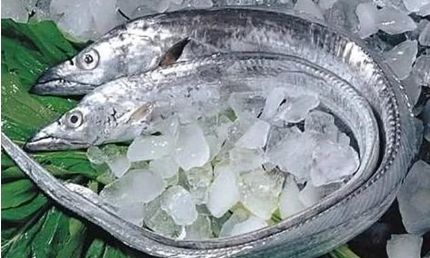 怎么解冻鱼最好 018ddd35985c4646a9ff2f4ca4a859ae.jpeg