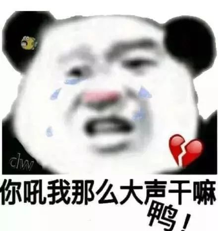 更多搞笑斗图表情包,可前往公众号:天天壁纸返回搜狐,查看更多