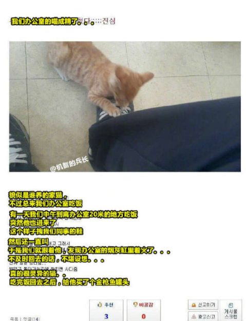 交什么错成语_成语故事简笔画(2)
