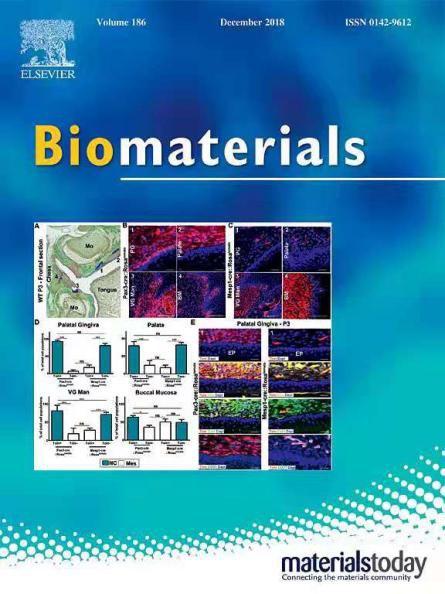 怎么做才能发表sci 0c210b932fa34b52867d98c462f306c7.jpeg