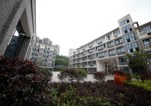 重庆九龙坡区小学排名