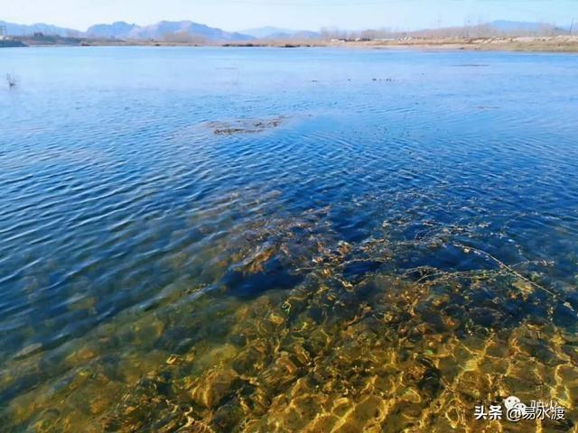 易县的河水清澈见底.