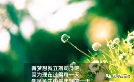 148cdc1769c24b1ea94d5cff818bd368.jpeg