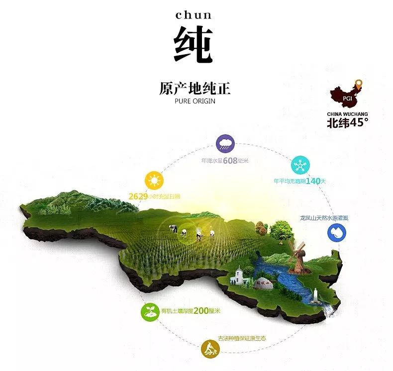 吃水稻人口_水稻简笔画(3)