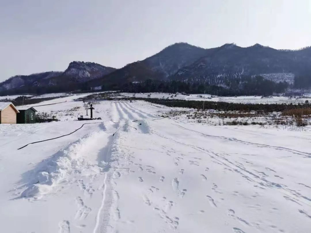 龙头山滑雪场造雪火热进行中部分项目即将就绪