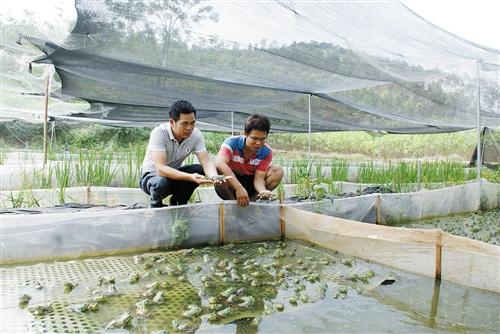 百济镇南华村有多少人口_百济镇南华村图